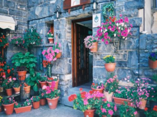Casa Herrero Oto Camera foto
